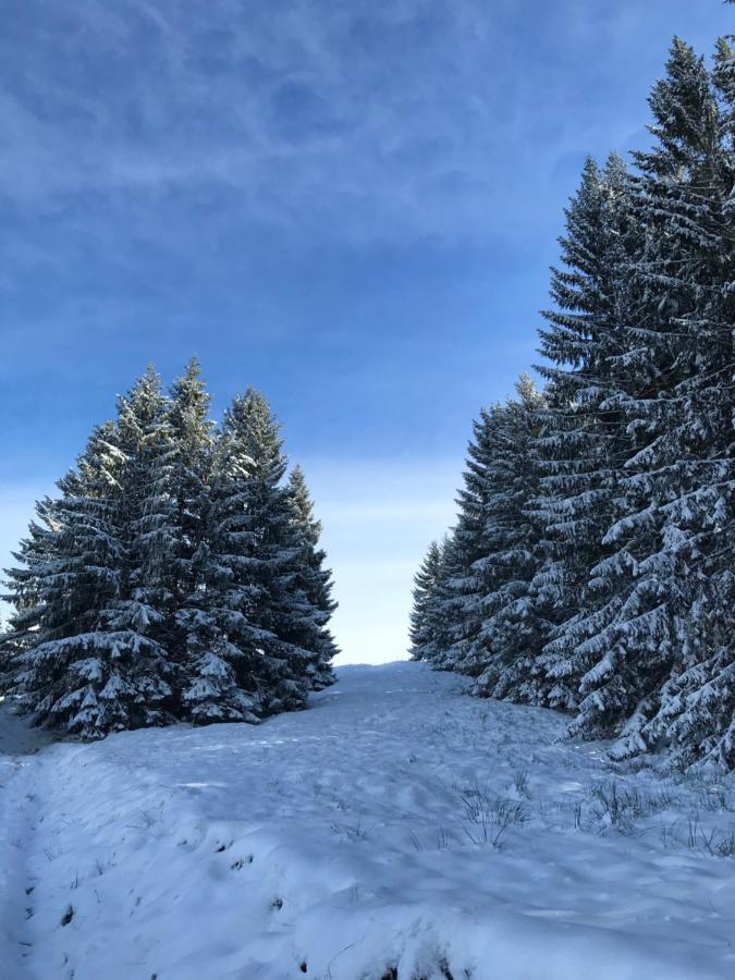 Ferienwohnung Morgentau Am Rande Der Wildnis Sibratsgfäll Exteriör bild
