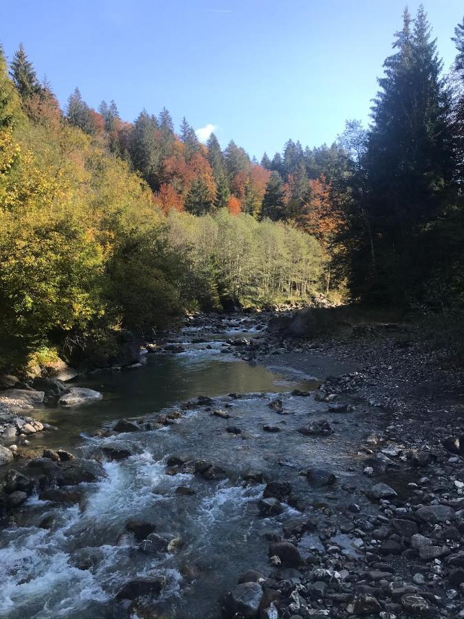 Ferienwohnung Morgentau Am Rande Der Wildnis Sibratsgfäll Exteriör bild